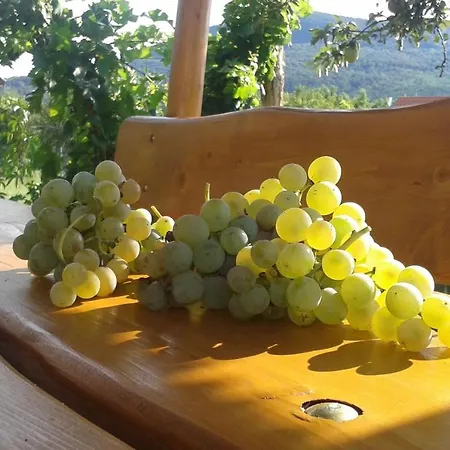 Hangvilla Badacsony Prázdninový dům *