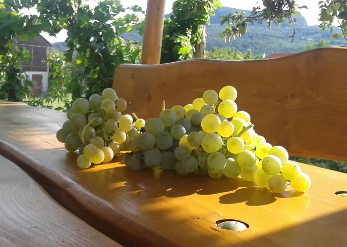 Hangvilla Badacsony 度假居 *