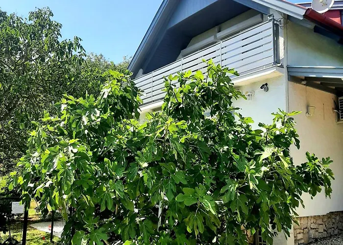 Hangvilla Badacsony 度假居